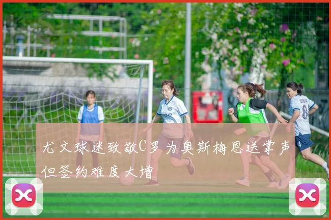 尤文球迷致敬C罗为奥斯梅恩送掌声但签约难度大增