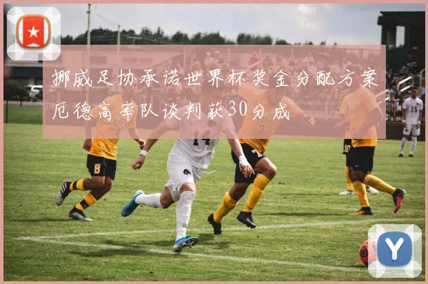 挪威足协承诺世界杯奖金分配方案厄德高率队谈判获30分成