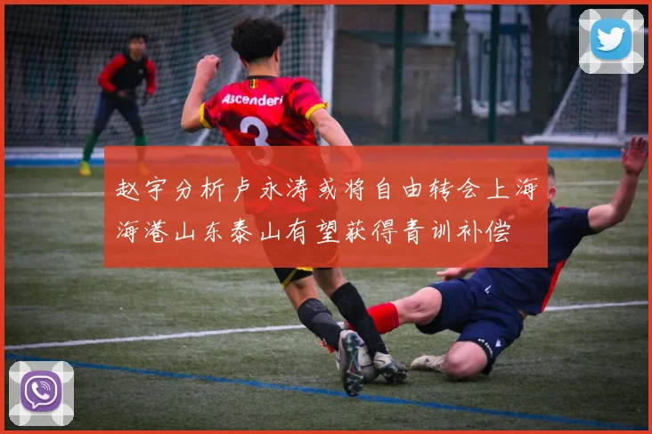赵宇分析卢永涛或将自由转会上海海港山东泰山有望获得青训补偿
