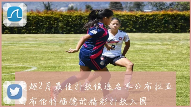 英超2月最佳扑救候选名单公布拉亚对布伦特福德的精彩扑救入围