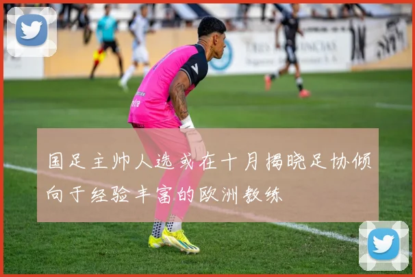 国足主帅人选或在十月揭晓足协倾向于经验丰富的欧洲教练