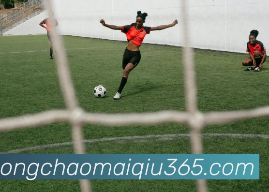 数据防护可视化